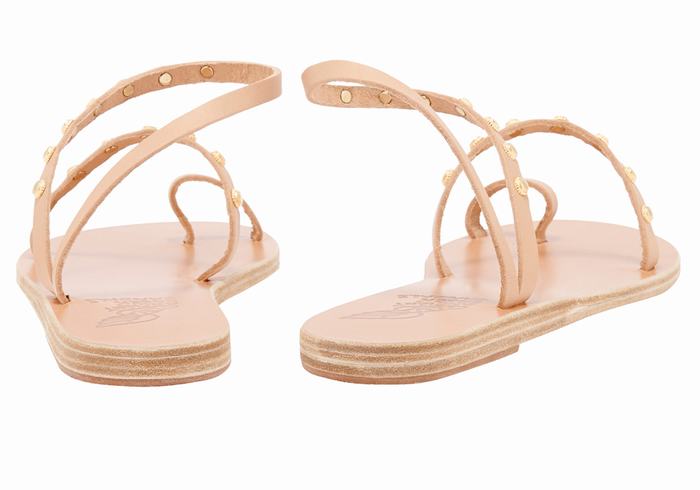 Sandales Toe-Post Ancient Greek Sandals Eleftheria Bee   | TOB-2044710